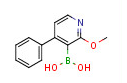2-METHOXY-4-PHENYLPYRIDINE-3-BORONIC ACID 1029654-24-7